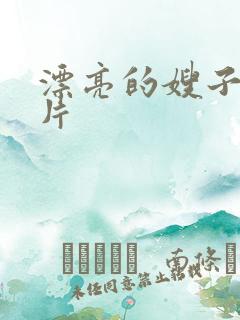 漂亮的嫂子伦理片
