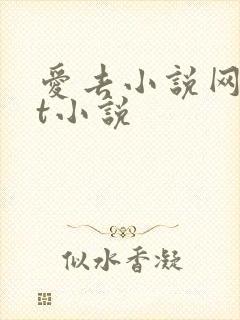 爱去小说网txt小说