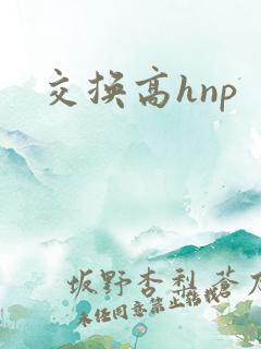 交换高hnp 交换高hnp