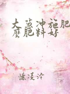 大葱冲施肥用什么肥料好