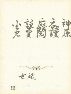 小说麻衣神算子免费阅读原文