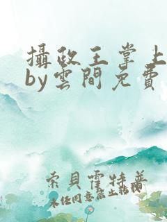 摄政王掌上皇夫by云间免费阅读小说