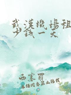 武汉机场租车多少钱一天