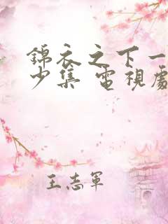 锦衣之下一共多少集 电视剧