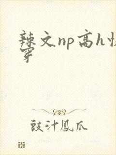 辣文np高h快穿