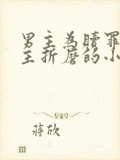 男主为赎罪任女主折磨的小说