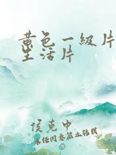 黄色一级片夫妻生活片