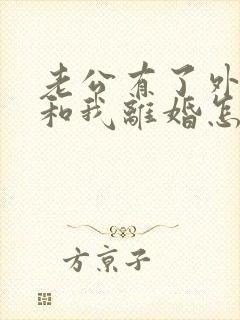 老公有了外遇要和我离婚怎么办
