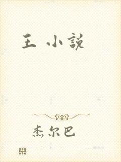 王 小说