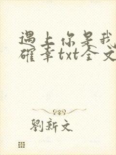 遇上你是我的小确幸txt全文下载