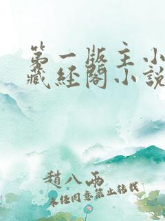第一版主小说网藏经阁小说网