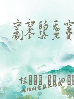 守望的天空电视剧全集免费