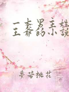 一本男主姓萧是王爷的小说