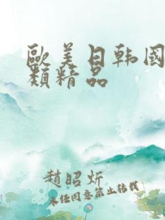 欧美日韩国产另类精品