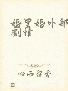 婚里婚外那些事剧情