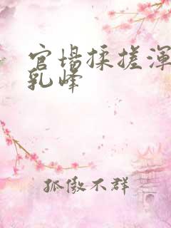 官场揉搓浑圆的乳峰