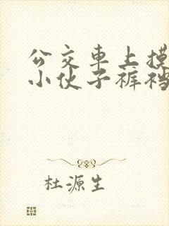 公交车上摸直男小伙子裤裆小说