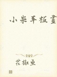 小米平板画画
