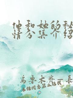 他和她的秘密剧情分集介绍大结局