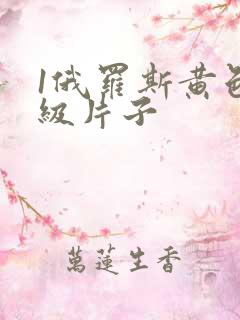 1俄罗斯黄色一级片子