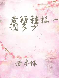 黄精种植一亩利润多少