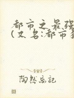 都市之最强狂兵(又名:都市狂枭 )