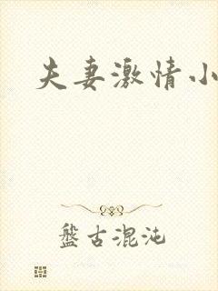 夫妻激情小说