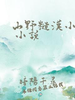 山野糙汉小娇娘 小说