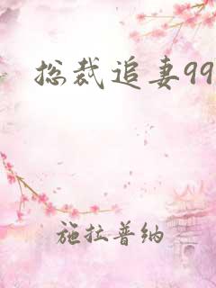 总裁追妻99次