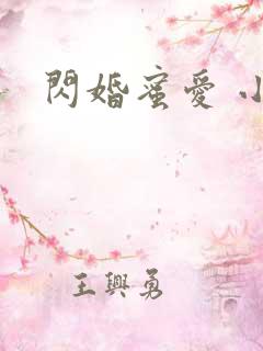 闪婚蜜爱 小说