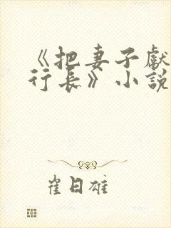 《把妻子献给张行长》小说
