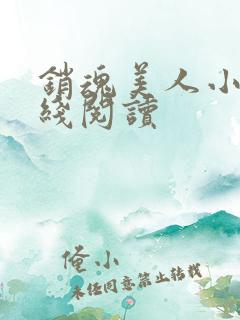 销魂美人小说在线阅读