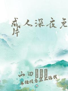 成人深夜免费看片