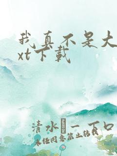 我真不是大佬txt下载