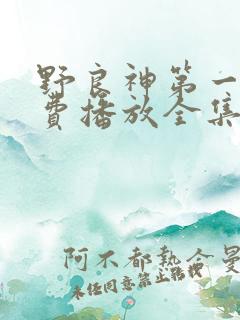 野良神第一季免费播放全集