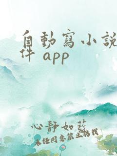 自动写小说的软件 app