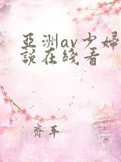 亚洲av少妇小说在线看