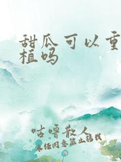 甜瓜可以重茬种植吗
