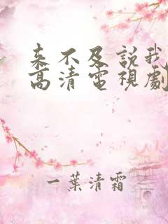 来不及说我爱你高清电视剧在线观看