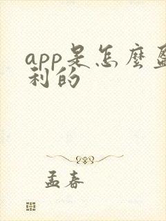 app是怎么盈利的