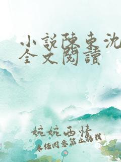 小说陈东沈幼宁全文阅读