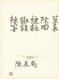 辣椒被除草剂药害能救回来吗