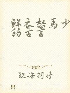 鲜衣怒马少年郎的古言