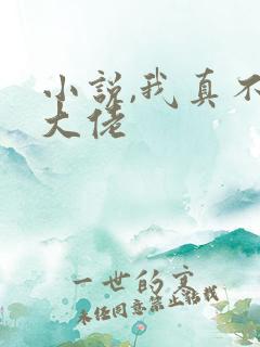 小说,我真不是大佬