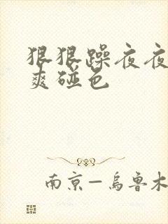 狠狠躁夜夜躁人爽碰色
