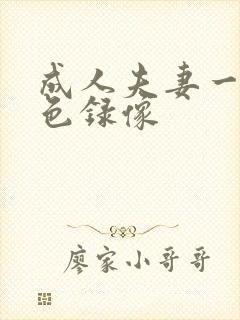 成人夫妻一级黄色录像
