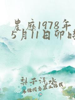 农历1978年5月11日卯时八字
