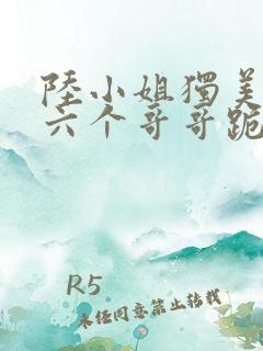 陆小姐独美后,六个哥哥跪求原谅大结局