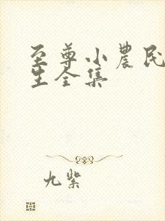 至尊小农民王木生全集 至尊小农民王木生全集