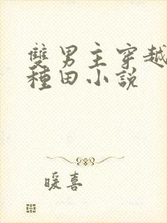 双男主穿越古代种田小说